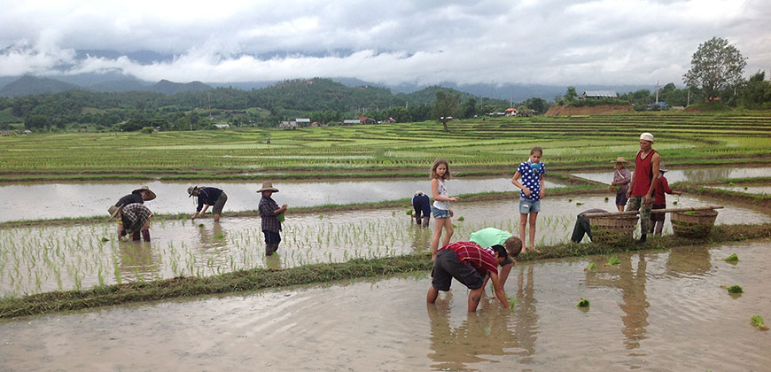 3 DAYS 2 NIGHTS BY 4X4 WD CHIANG MAI - KAREN VILLAGE - MAE HONG SORN